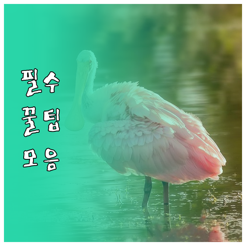 쓰레기 줄여 환경 보호 식비 절약 음..