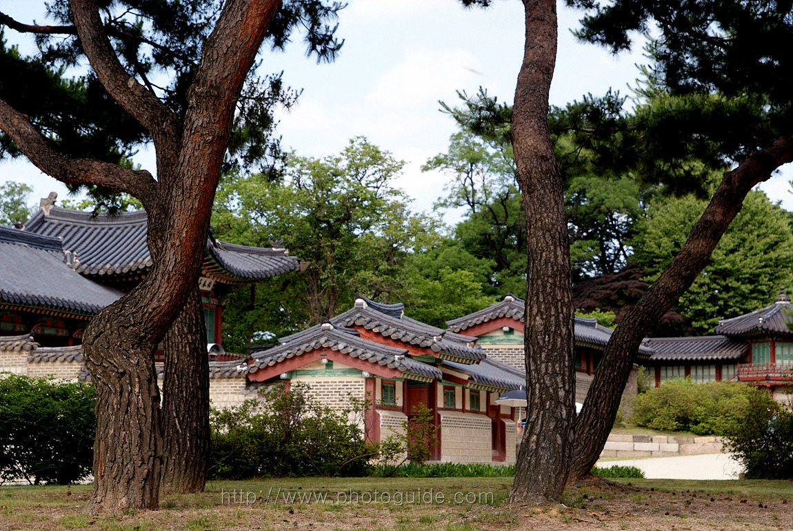 창덕궁 Changdeokgung Palace