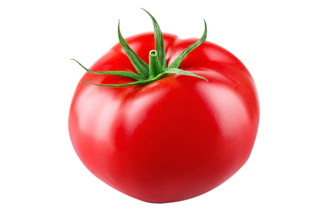 토마토