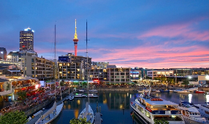 화려한 오클랜드 도시 사진