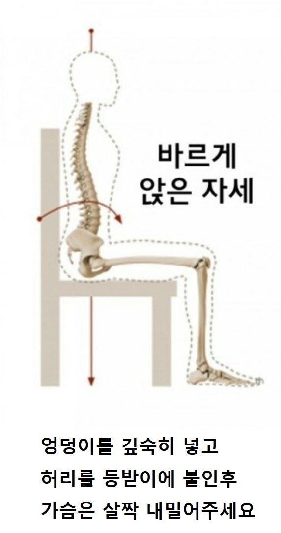 바르게 앉는 자세