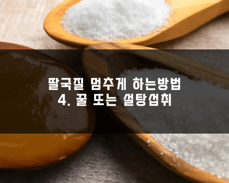 딸국질 멈추는 방법 - 꿀 또는 설탕 섭취