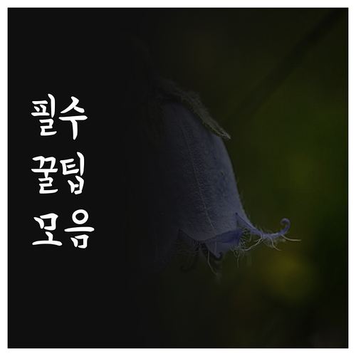 취리히 여행 필수 정보 취리히 호텔 
