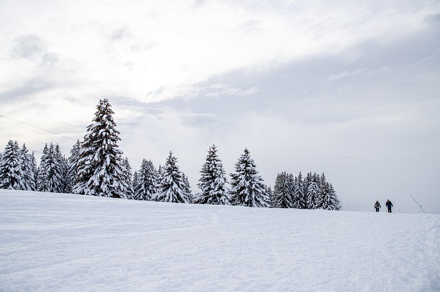 스키 X5시즌권 온라인 구매