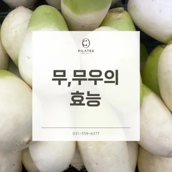 무우 효능 부작용 섭취 방법_8