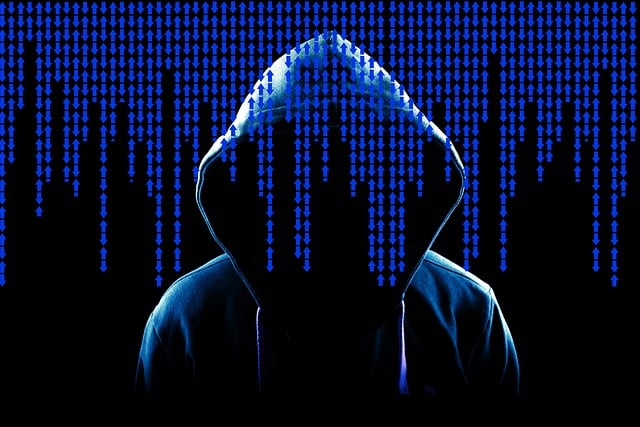 쿠팡 개인정보 유출 보상 관련 사진