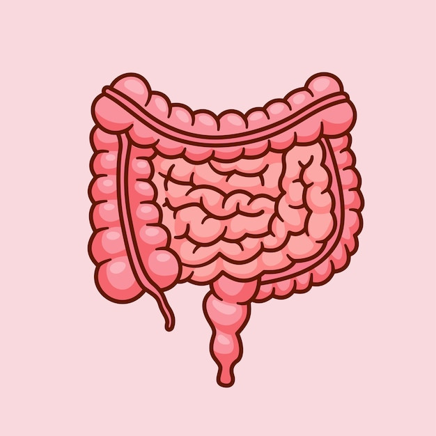 장중첩증-원인&amp;#44;-증상&amp;#44;-치료방법&amp;#44;-진단-및-검사