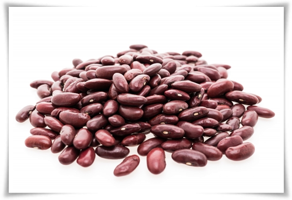 텃밭 &quot;5월, 강낭콩 심으세요!&quot; 콩알 콩알 재미가 톡톡, 쑥쑥 자라는 기쁨!