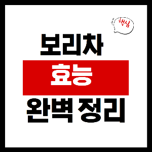 보리차 효능