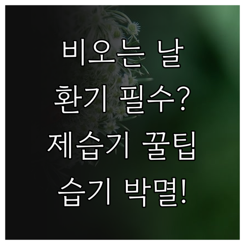 비 오는 날 환기 방법과 효율적인 제..