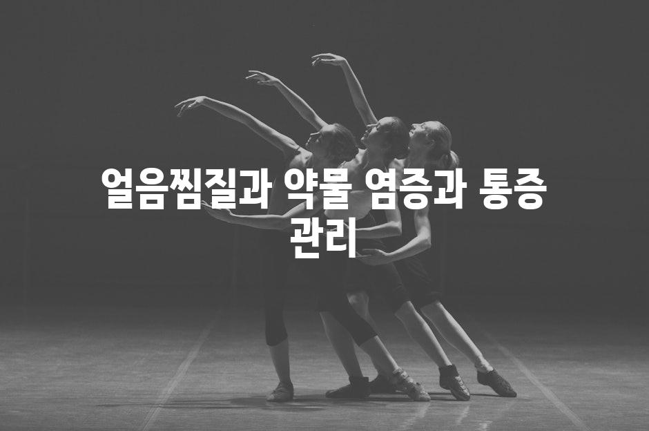 얼음찜질과 약물 염증과 통증 관리