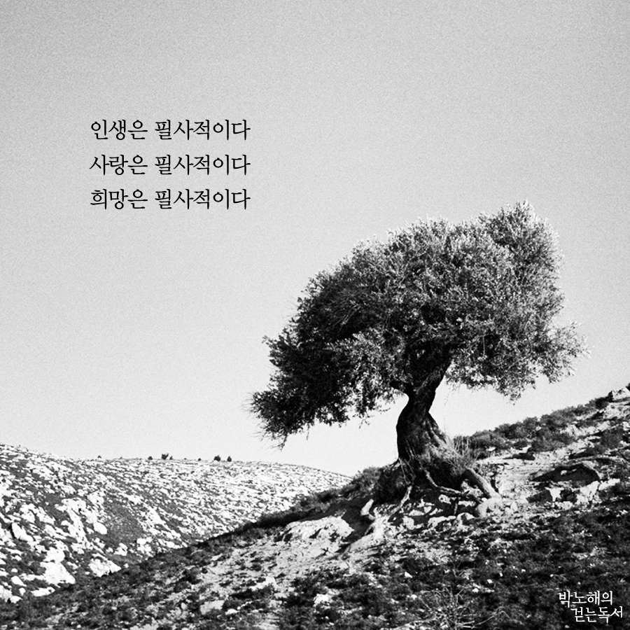 생명보험&amp;#44;사망보험&amp;#44;장례지원&amp;#44;시민안전보험-충북지원제도 -소나무