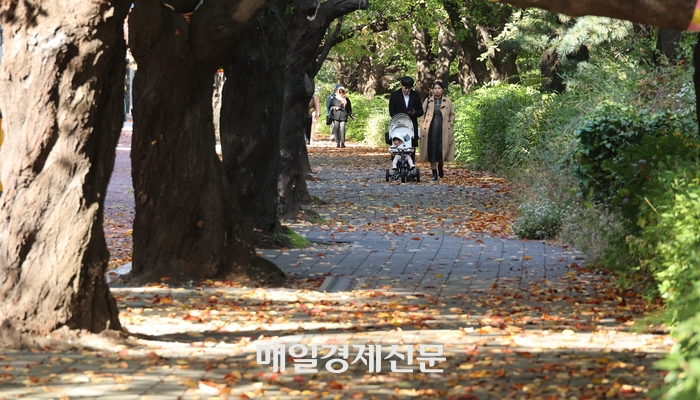 가을 이미지/ 출처 - 매일경제신문