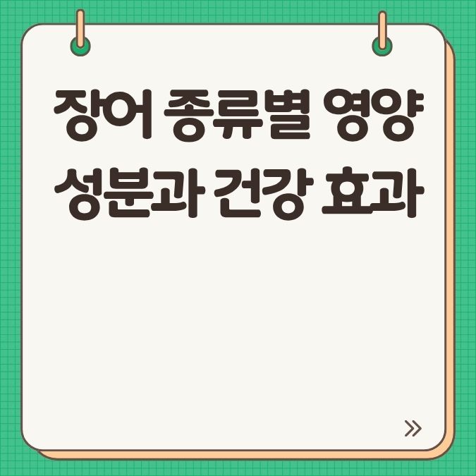 장어 종류별 영양성분과 건강 효과