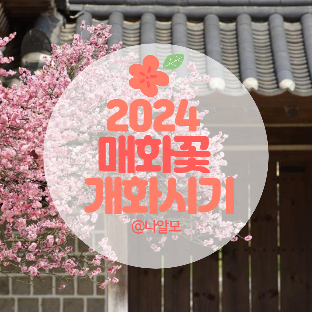2024 매화 개화시기