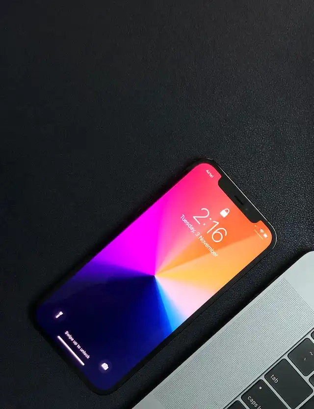 notch 노치