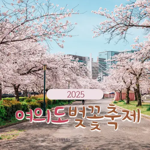 2025 여의도 벚꽃축제