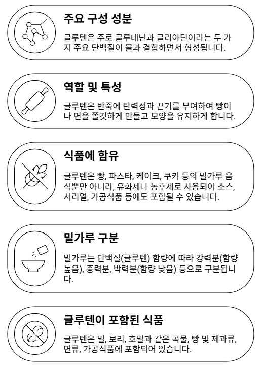 글루텐 구성 요소 및 특성
