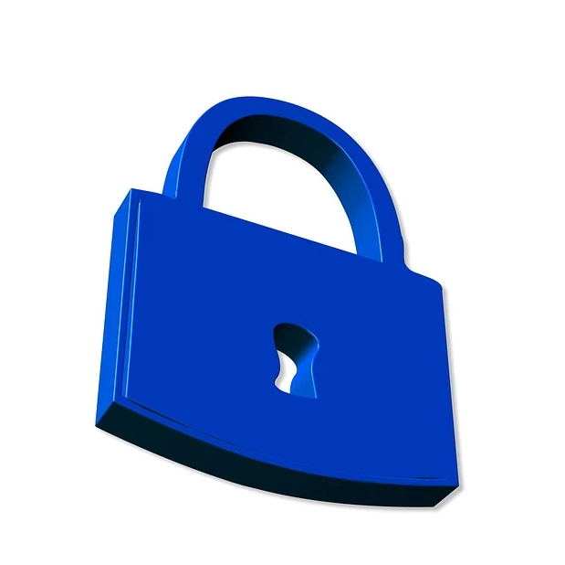 디지털 사망관리 플랫폼의 보안 문제