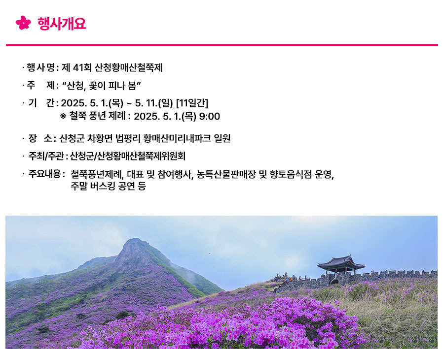 경남 산청 황매산 철쭉제 2025 일정 주차 등반코스 꿀팁정리