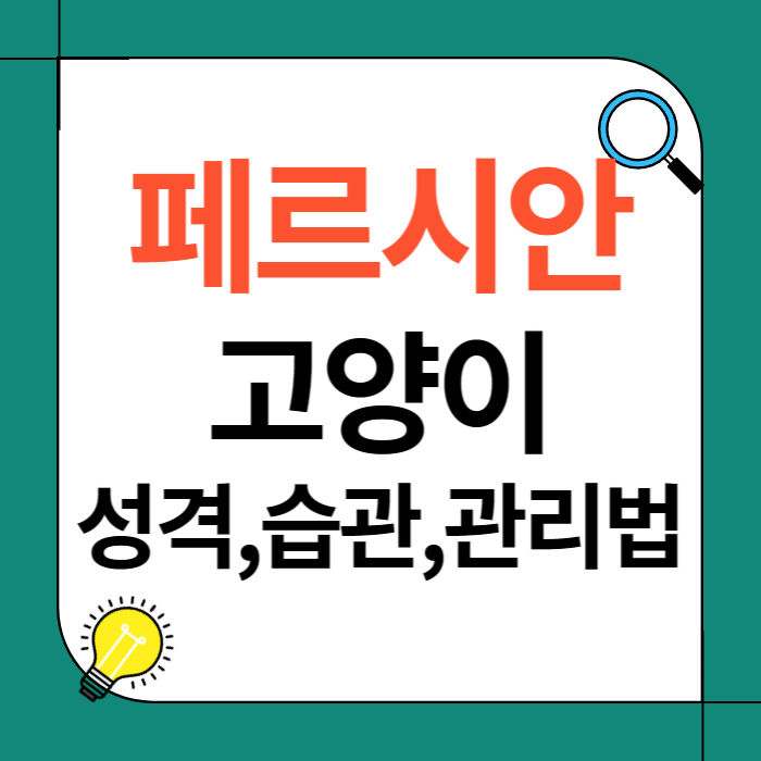 페르시안 고양이의 성격과 생활 습관