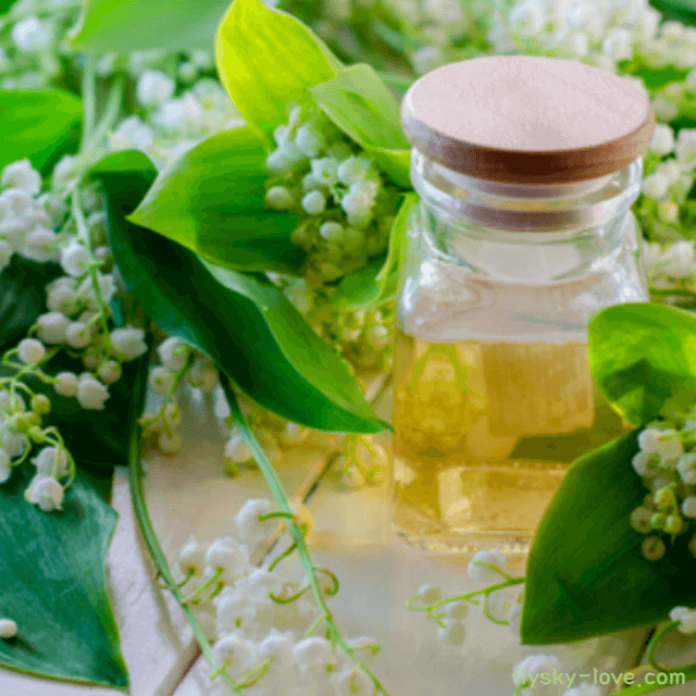 야로우 오일 (Yarrow Oil)