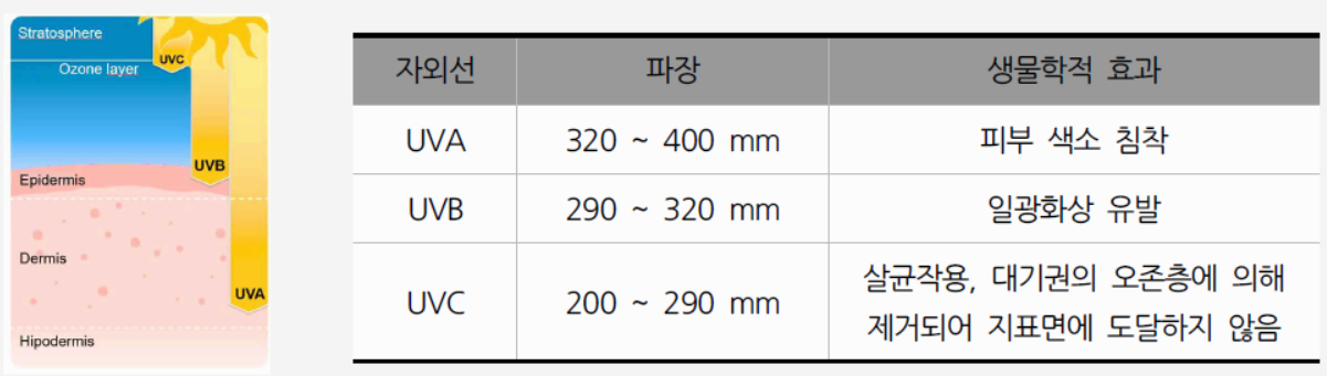 UVA와 UVB가 피부에 침투하는 깊이를 비교하는 그림