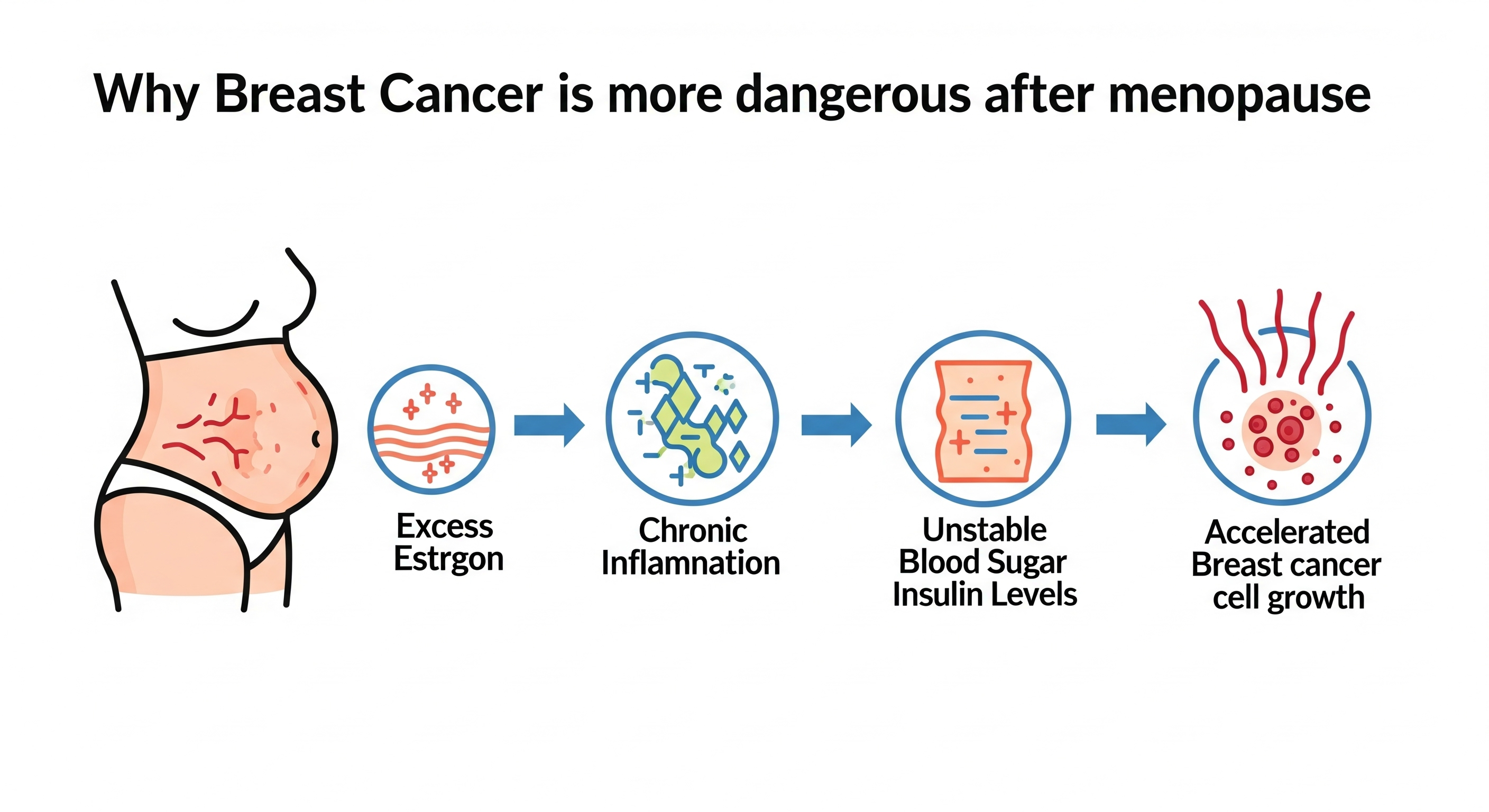 "유방암, 폐경 이후 더 위험한 이유"에 대한 이미지입니다.