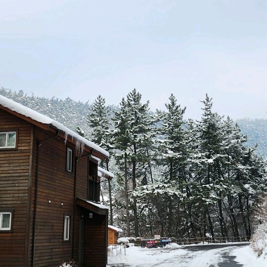 희리산해송자연휴양림