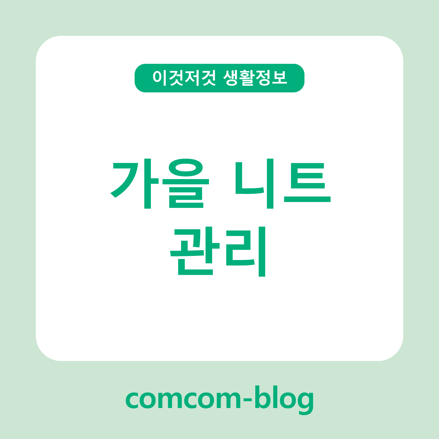 🍁 가을니트 관리법 - 오래도록 포근하게 입는 감성 케어 가이드