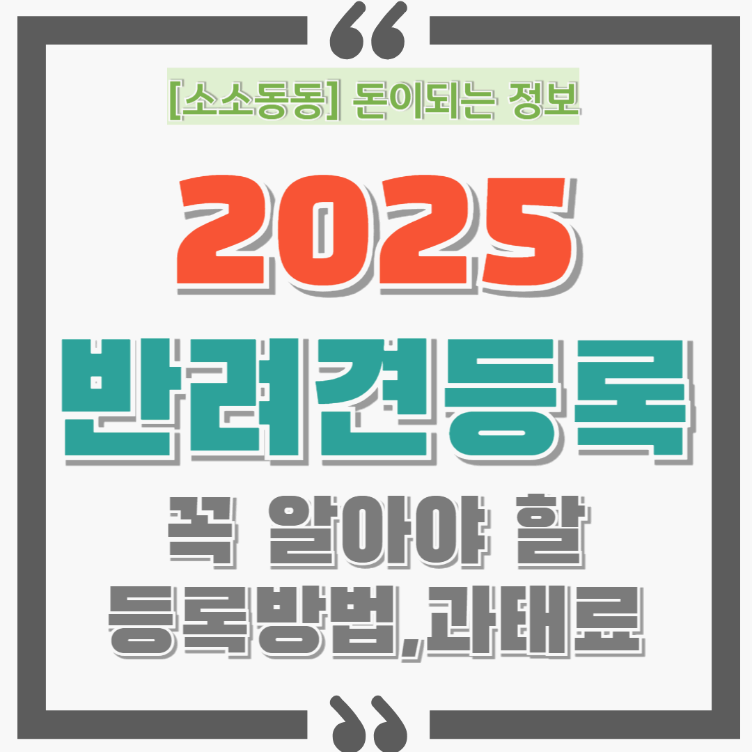 2025년 반려견 등록제 미루면 과태료 폭탄! 지금 꼭 알아야 할 등록 방법과 벌금 기준