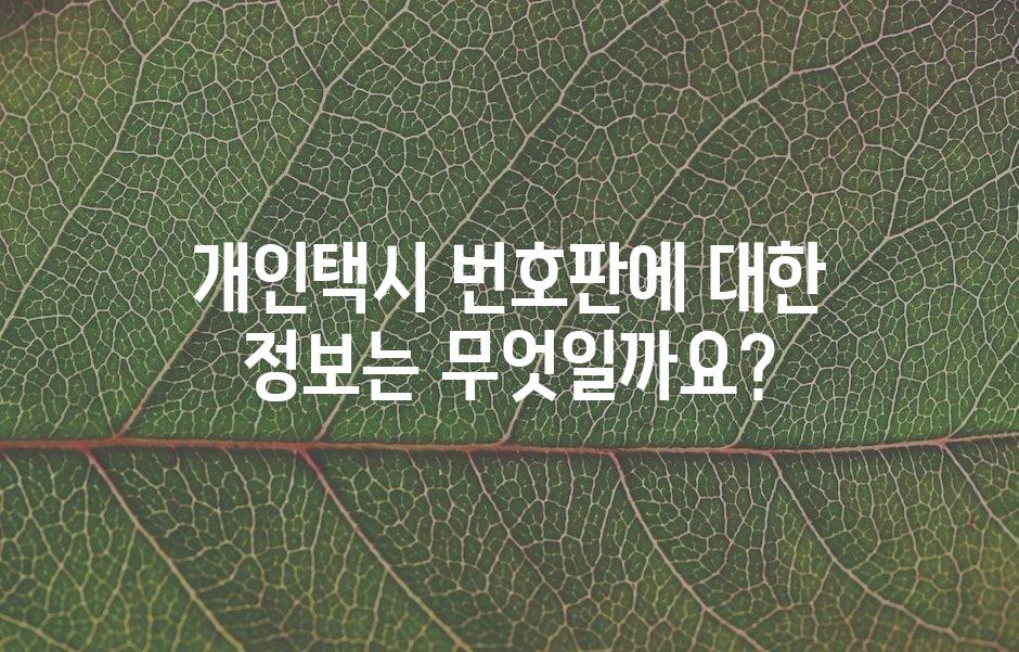 샘플 (43)