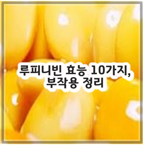루피니빈 효능 10가지, 부작용 정리
