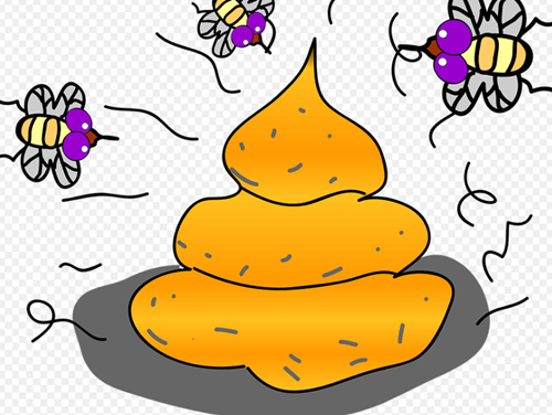 황금색 똥 그림인데 파리들이 꼬이는 모습