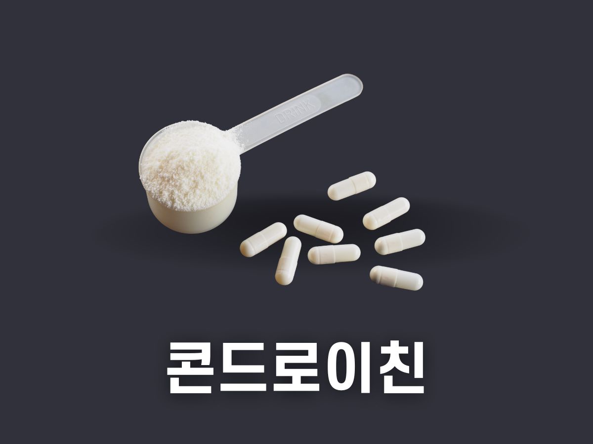 콘드로이친 효능