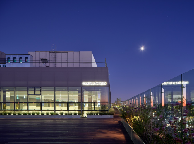 홍대 놀거리 무신사 테라스