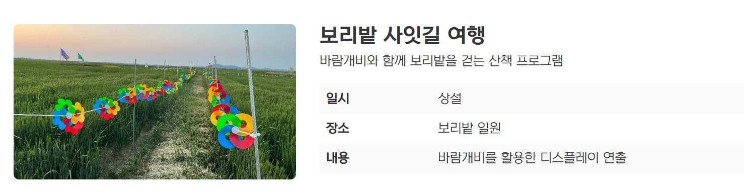 [5월 축제]2025 진봉 새만금 보리밭축제❘기간, 일정, 체험 프로그램, 공연 총정리