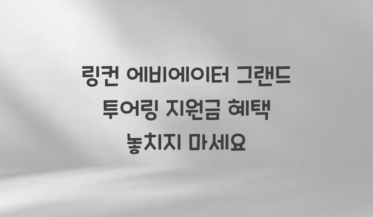 링컨 에비에이터 그랜드 투어링 지원금​