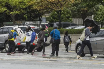 강풍 예비특보 낙과 낙하물 창문 고정 집안 대비법_16