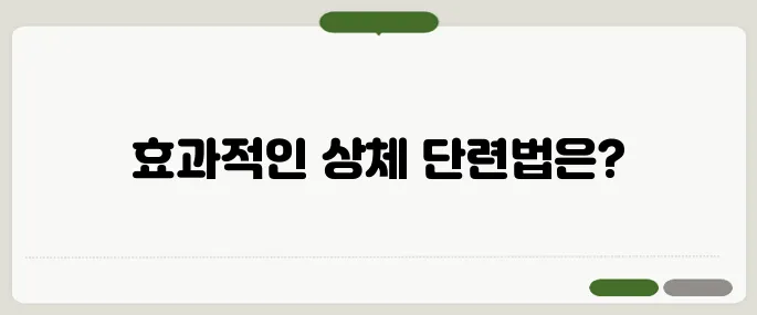 팔굽혀펴기 운동 효과 상체 근력 강화 비법