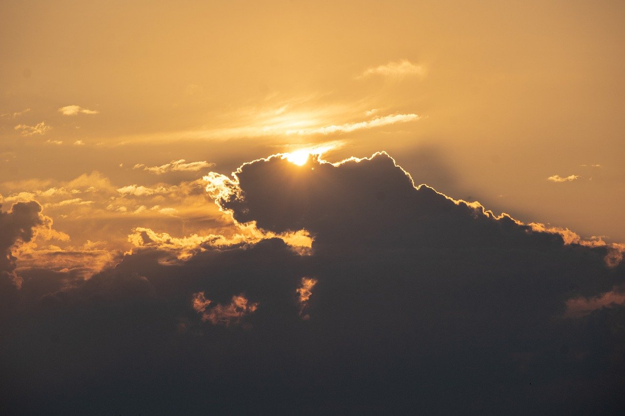 원숭이띠 신년 운세