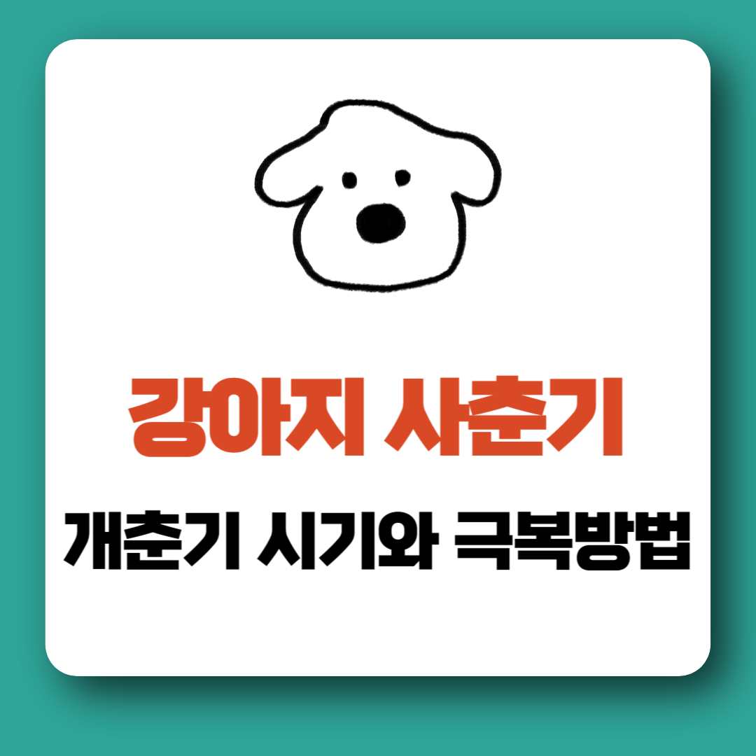 '개춘기' 강아지 사춘기 시기, 극복하기