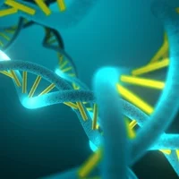 DNA