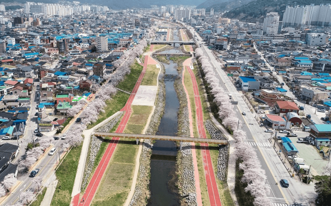 2025 정읍 벚꽃축제 총정리