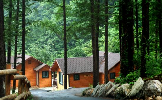 홍천 가리산 자연 휴양림 예약 방법 수도권 계곡 물놀이 캠핑 명소 날씨 정보