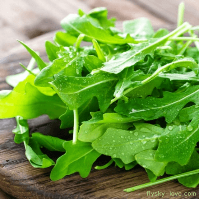 야생 루꼴라(Wild Rocket) 효능