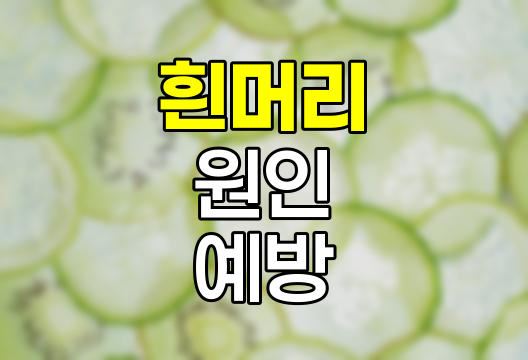갑자기 흰머리가 늘어나는 이유와 흰머리 되돌리는 방법