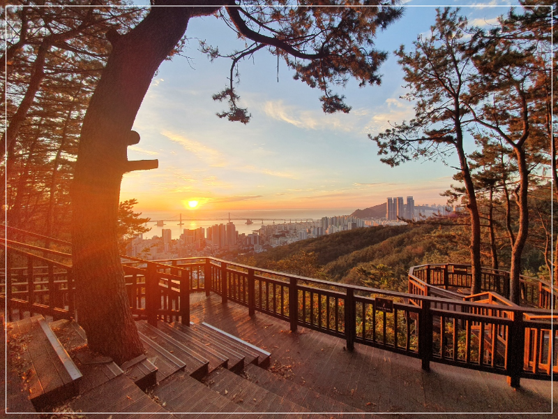 금련산 수련원 전망대 이미지