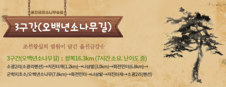 울진 금강송 소나무숲길