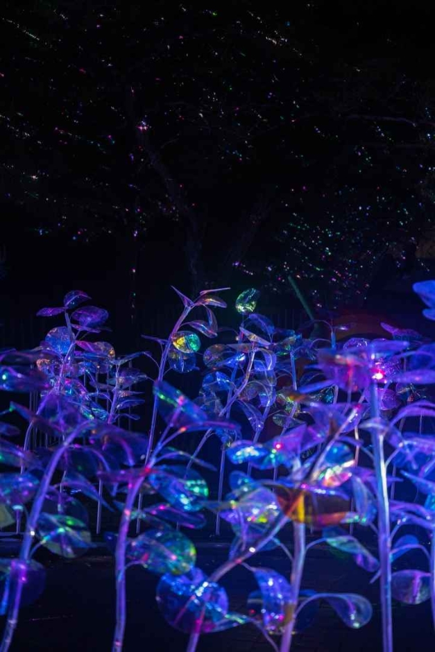 2024 울산 옹기축제 기본일정과 프로그램 소개 노라조 왁스 문희옥 나태주 출연